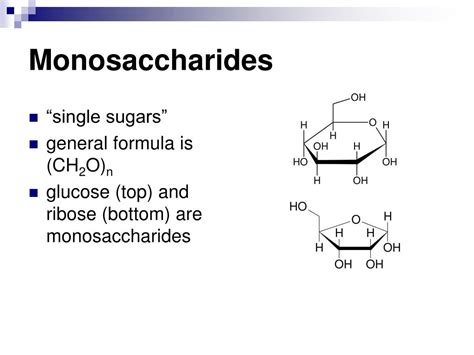 PPT - Macromolecules PowerPoint Presentation, free download - ID:7025299