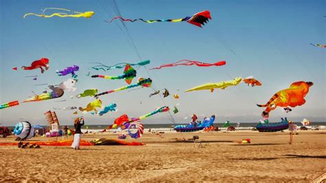 International Kite Festival | Shutterbug