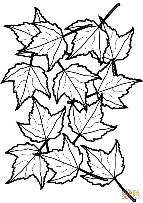 Maple Leaf Coloring - ClipArt Best