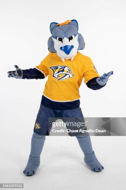 Nashville Predators Mascot Photos and Premium High Res Pictures - Getty ...