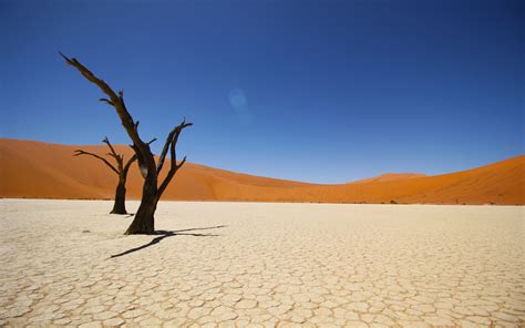 Namib Coastal Desert 4K Wallpapers | HD Wallpapers | ID #19735