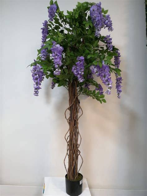 Planta flores moradas – Arbocol | Fabrica de Arboles de Navidad