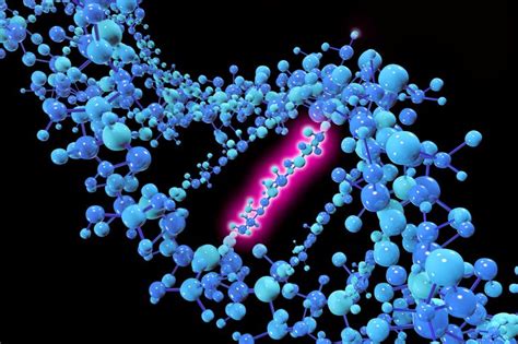 Synonymous vs. Nonsynonymous Mutations - Definitions