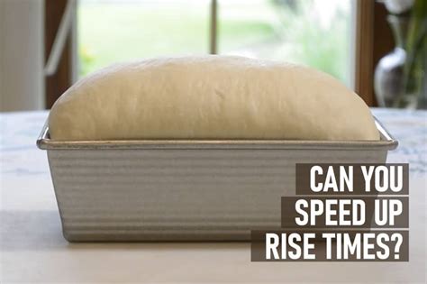 Can You Make Dough Rise Faster? – Knead Rise Bake