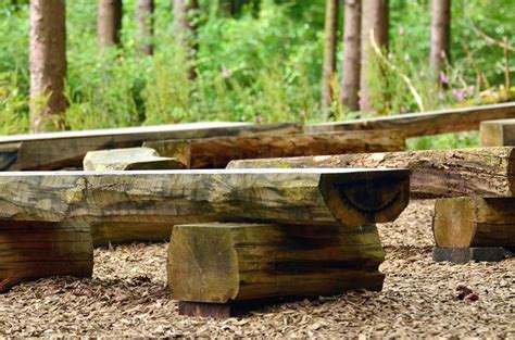 Free picture: bench, wooden, forest, soil, nature, shrub