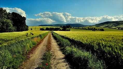 nature, Landscape, Field, Clouds, Dirt Road Wallpapers HD / Desktop and Mobile Backgrounds