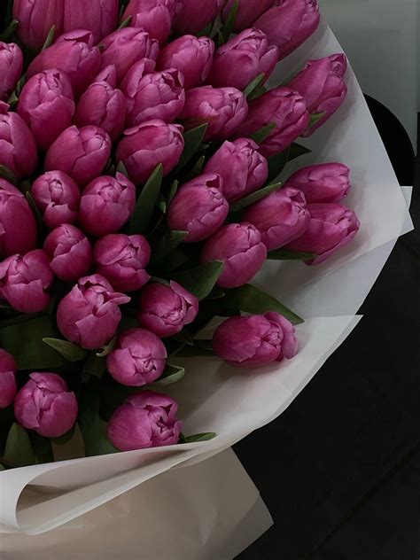 Bouquet of Pink Tulips · Free Stock Photo