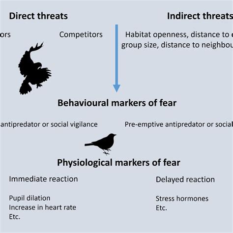 Types of threats and their relationship to behavioural and... | Download Scientific Diagram