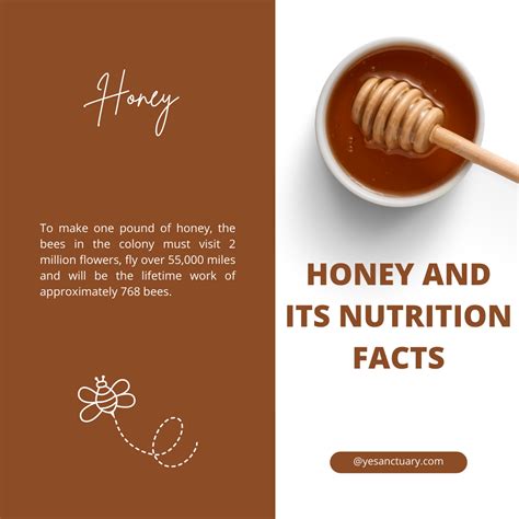 Honey Nutrition Facts | Young Earth Sanctuary