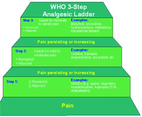 World Health Organization 3-Step Analgesic Ladder with examples of ...