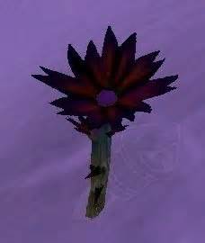 Black Lotus - Item - Classic World of Warcraft