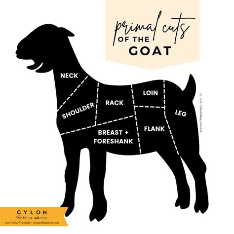 Goat Meat Cuts - Everything You Need to Know - Cylon Rolling Acres