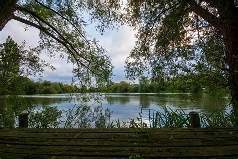 Bluebell Lakes - Fisheries.co.uk