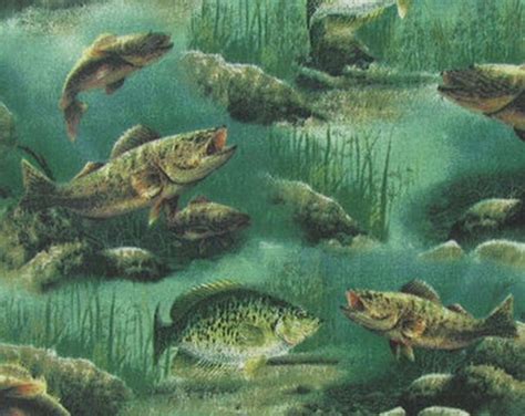 Fish Fabric by the Yard Fishing Fabric Quilting Fabric - Etsy