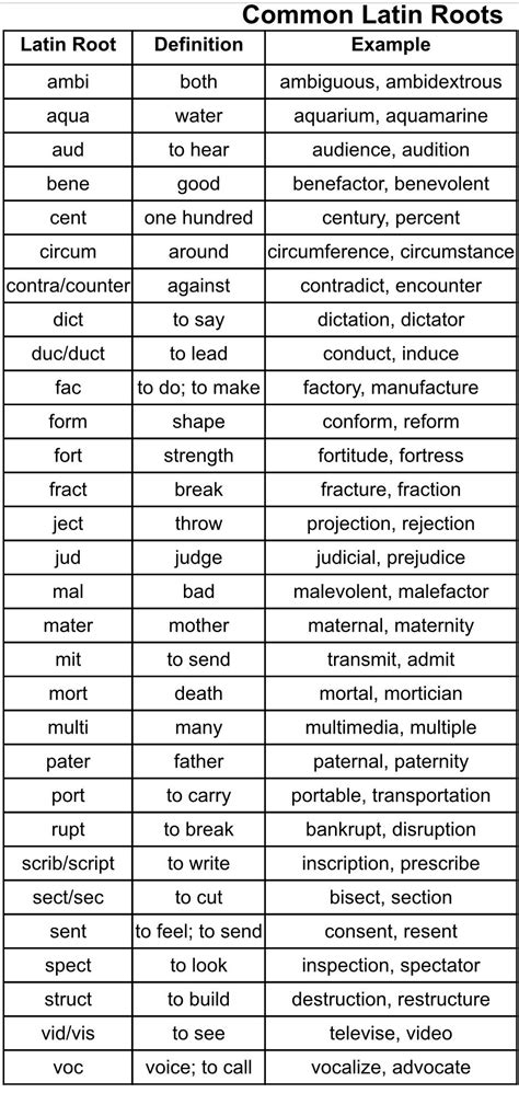 Common Latin Roots for Vocabulary Building