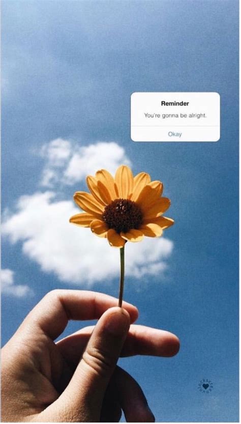 Flowers, Quotes, And Aesthetic Image - Aesthetic Wallpaper Iphone ...