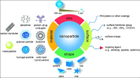 [PDF] Nanotechnology in Drug Delivery 21 2 Role of nanoparticles in targeted drug delivery ...