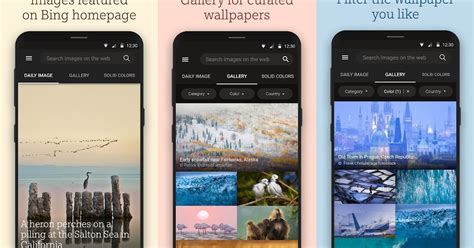 [Gli sfondi degli ultimi 10 anni] Download Bing Wallpapers per Android