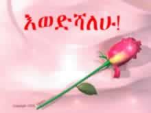 Amharic Quotes For Best Friends. QuotesGram