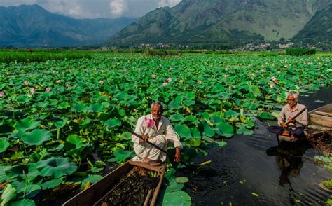 Is it Safe to Travel to Kashmir?