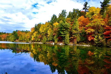 Gatineau Park this morning. : r/ottawa