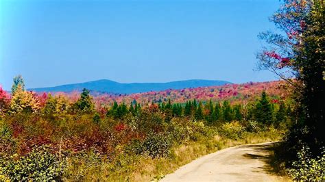 Maine's fall foliage dazzles as peak colors spread across state