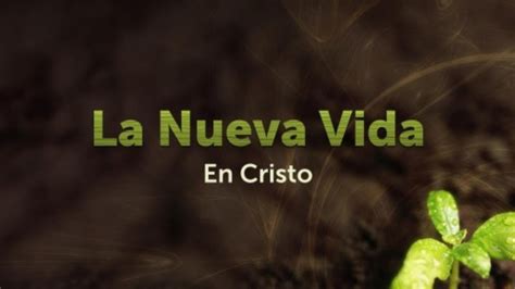 Estudio Bíblico | La nueva vida en Cristo - REFLEXIÓN. - YouTube