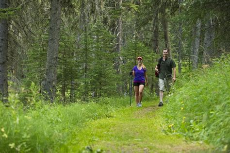 Cypress Hills Interprovincial Park Trails | Tourism Saskatchewan