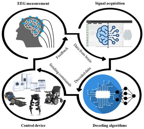 Brain-computer interface system. | Download Scientific Diagram