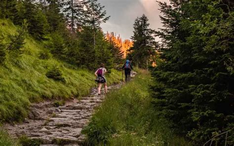 Do Hiking Trails Have To Be ADA Compliant? (Answered) - OutdoorSpree