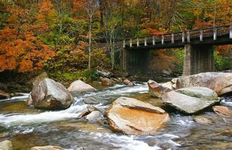 Spectacular fall colors around Lake Lure | Mountain Xpress