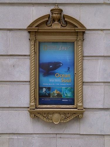 Poster Display Case, Selwyn Theater | These two adjoining th… | Flickr