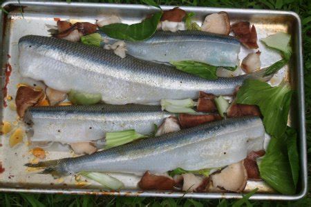 Large Smelts Baked with Bok Choy and Mushrooms | Of Goats and Greens