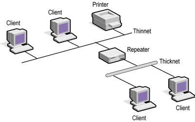 Part 15- What is Repeater (Networking Devices)- Computer Networking- CCNA