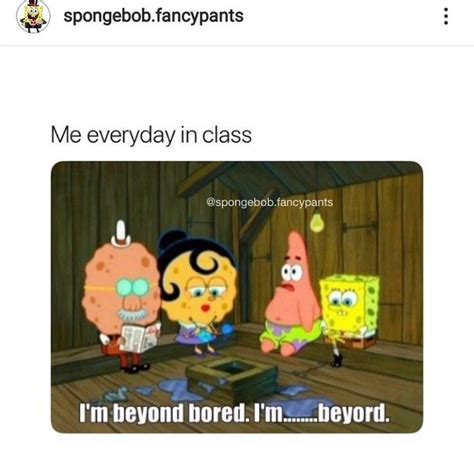 Oh look a picture of me in math class! 😂 | Spongebob memes, Funny gif ...