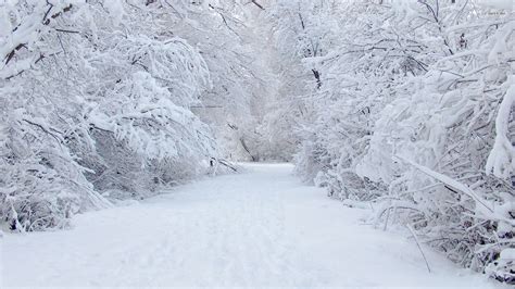 Scientific Park: Pourquoi a-t-on cette impression de silence quand on ...