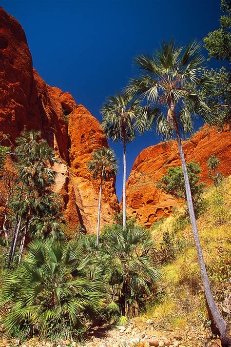 Outback Photography Gallery | Andrew Barnes Photography