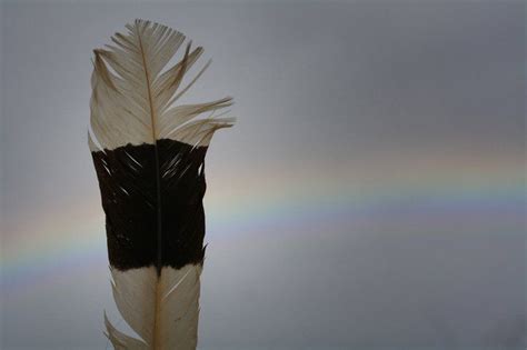 Hornbill Feather. believed to signify Valor and elegance. photo by ...