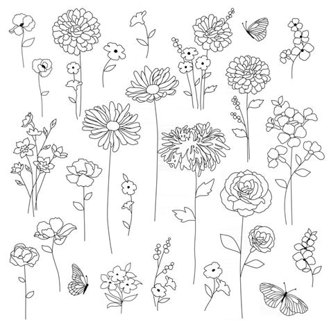 hand drawn botanical flowers black outline drawings 2461825 Vector Art at Vecteezy