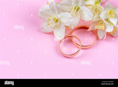 pair of gold wedding rings and white Jasmine flowers on pink background ...