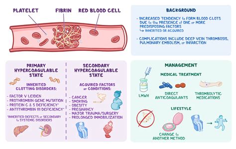 Osmosis - Hypercoagulable State: What Is It, Causes, Pregnancy ...