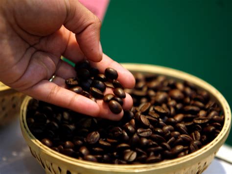 These are the best coffee beans in the world, according to an executive of a popular coffee ...