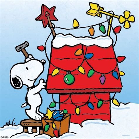 Follow me & The Gang :) https://www.pinterest.com/plzmrwizard67/ Peanuts Christmas, Charlie ...