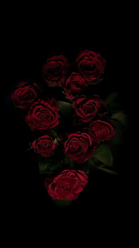 Dark Roses Aesthetic Wallpapers on WallpaperDog