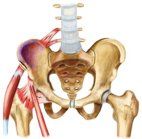 Iliac Crest Pain