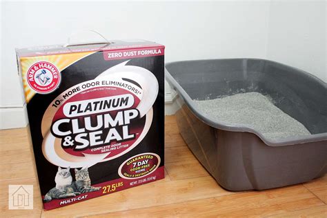 Arm & Hammer Clump & Seal Cat Litter, Reviewed