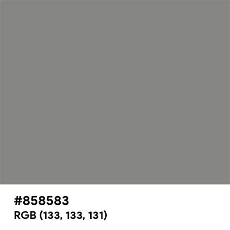 Pearl Light Grey color hex code is #858583