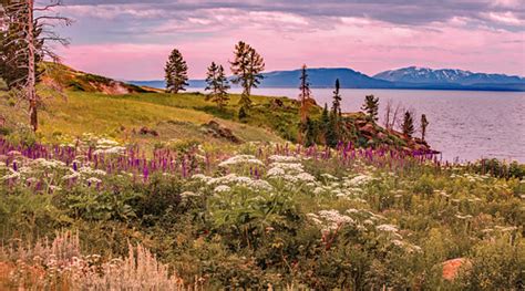 Yellowstone Wonder | Yellowstone National Park, Wyoming, USA… | Flickr