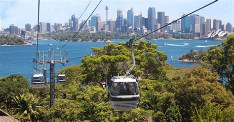 Sky Safari | Taronga Conservation Society Australia