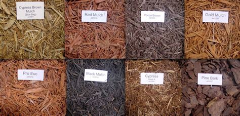 Much Ado About Mulch: Everything Homeowners Need To Kno